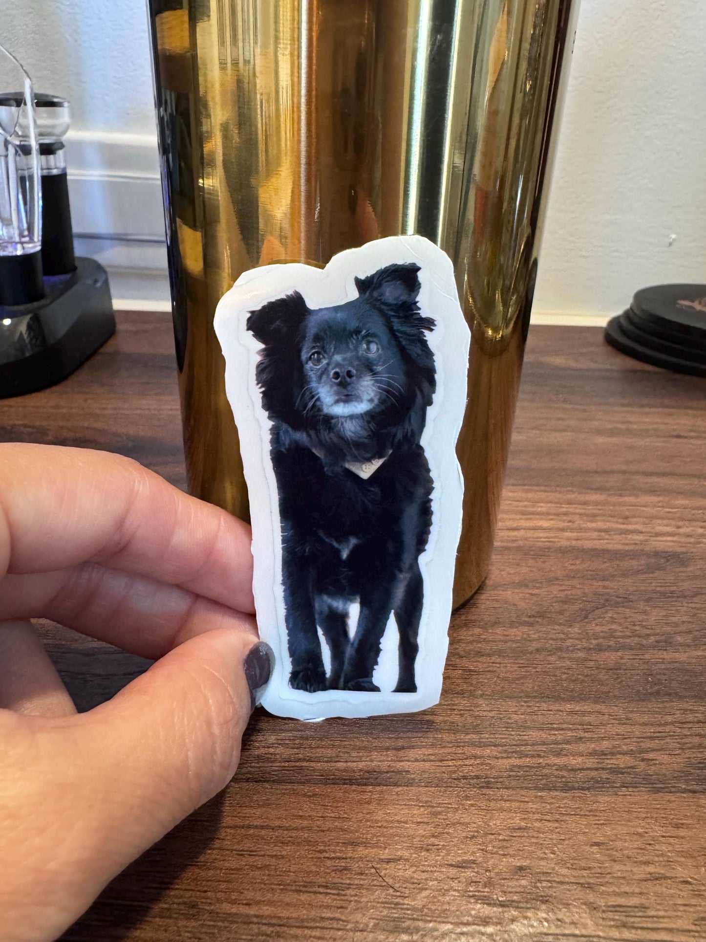 Custom Pet Stickers – Waterproof Vinyl Decals from Photo