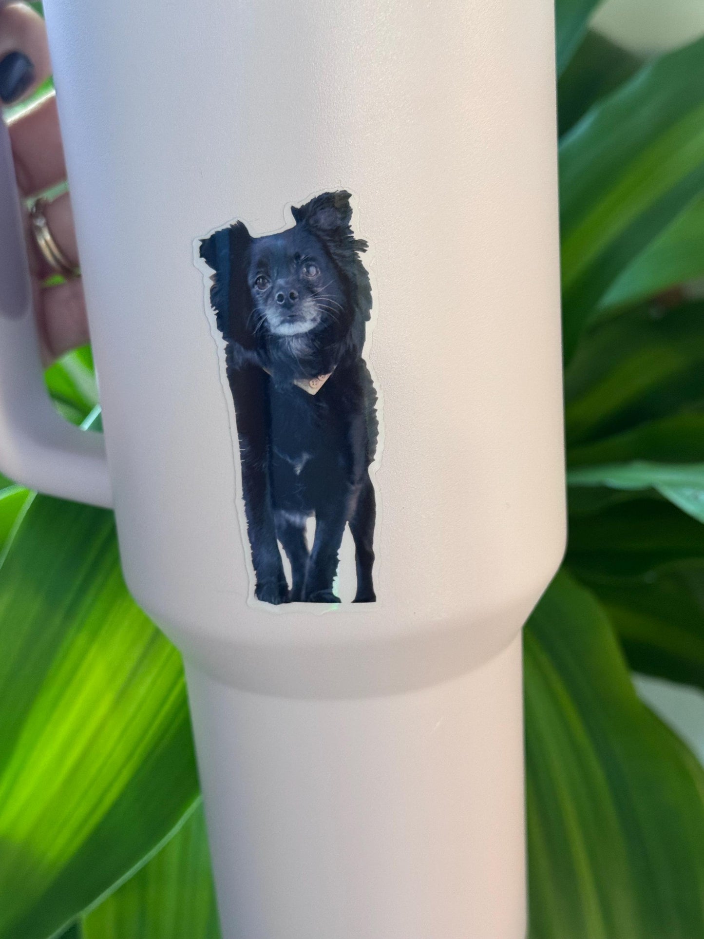 Custom Pet Stickers – Waterproof Vinyl Decals from Photo