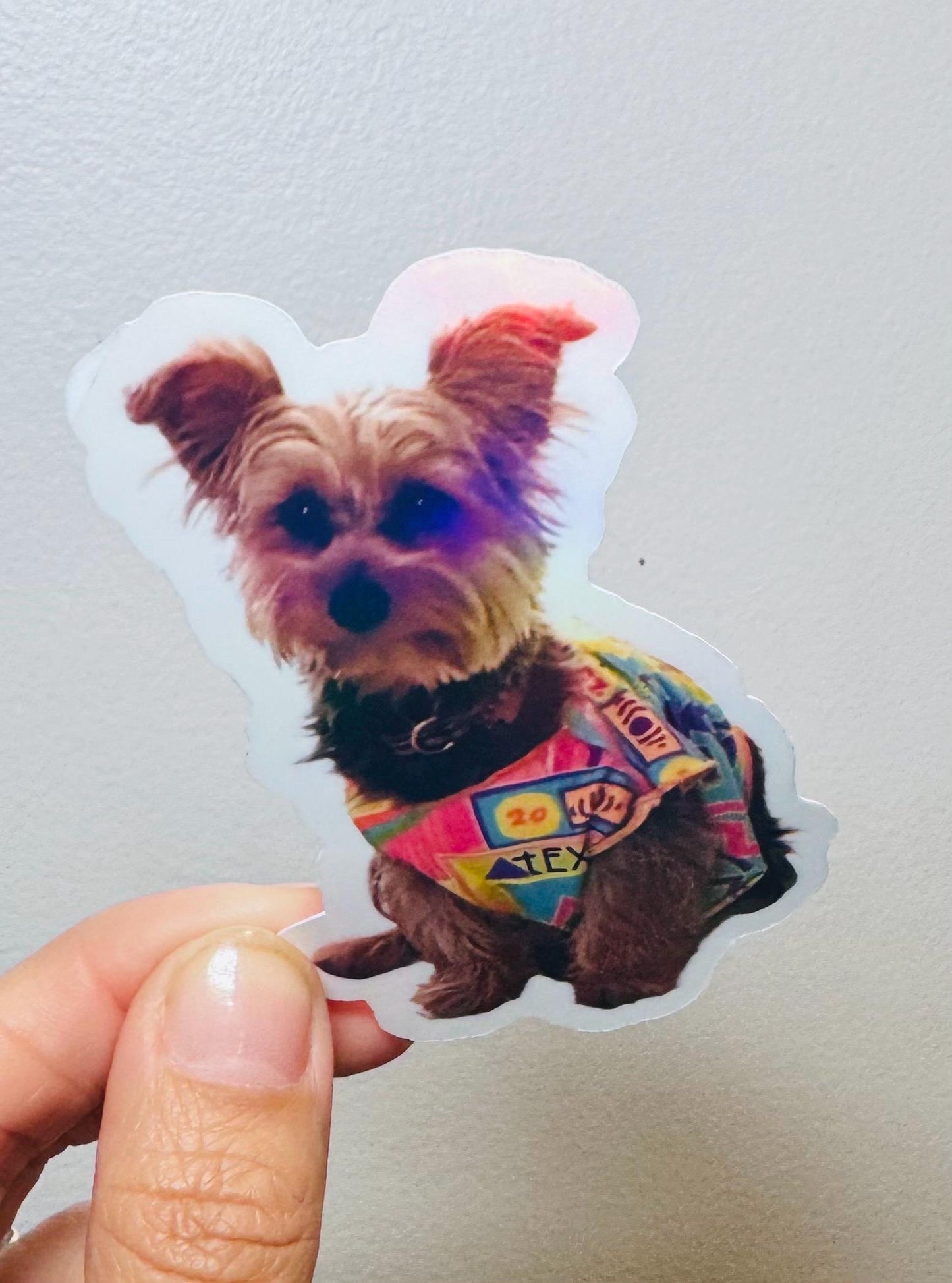 Custom Pet Stickers – Waterproof Vinyl Decals from Photo