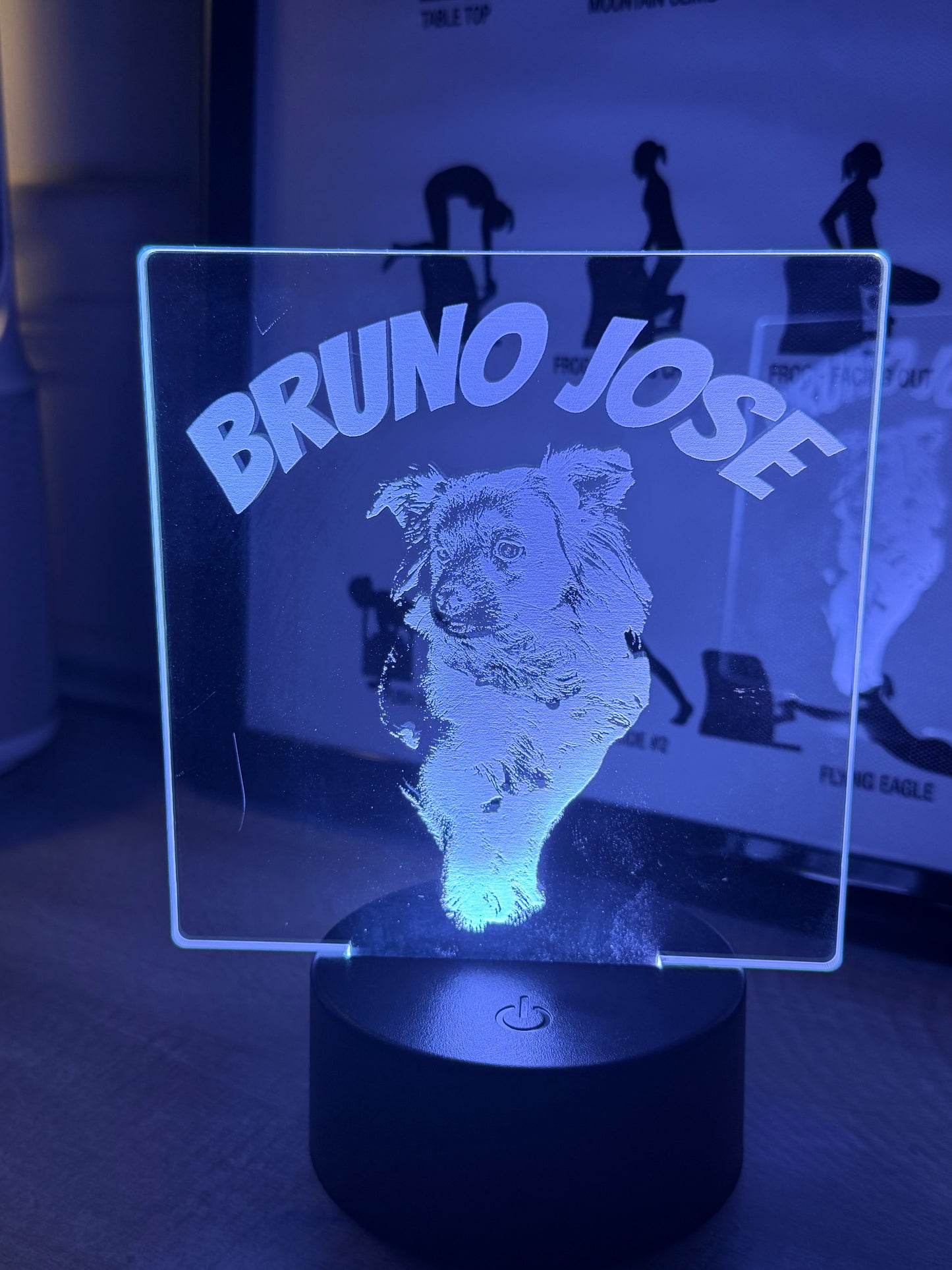 Acrylic LED Sign