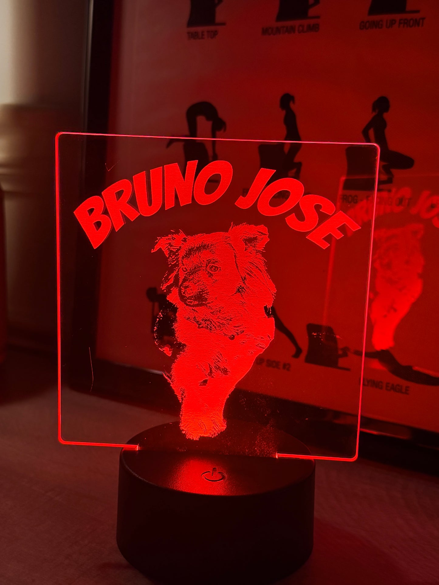 Acrylic LED Sign